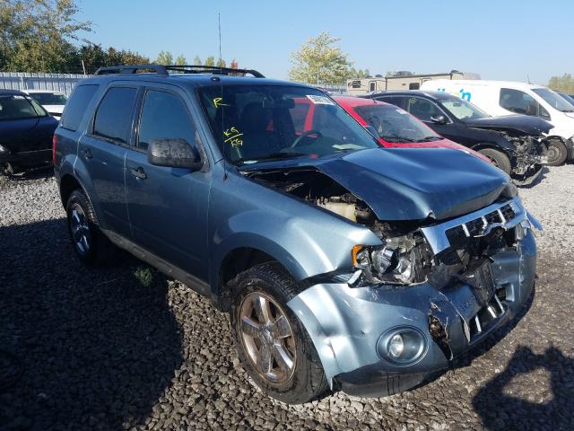 FORD ESCAPE XLT 2010 1fmcu0dg4akb49344