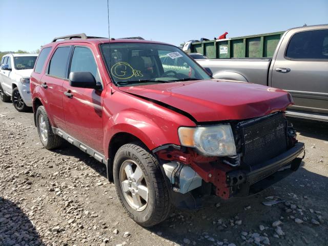 FORD ESCAPE XLT 2010 1fmcu0dg4akb79430