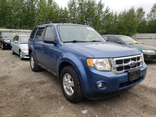 FORD ESCAPE XLT 2010 1fmcu0dg4akc44437