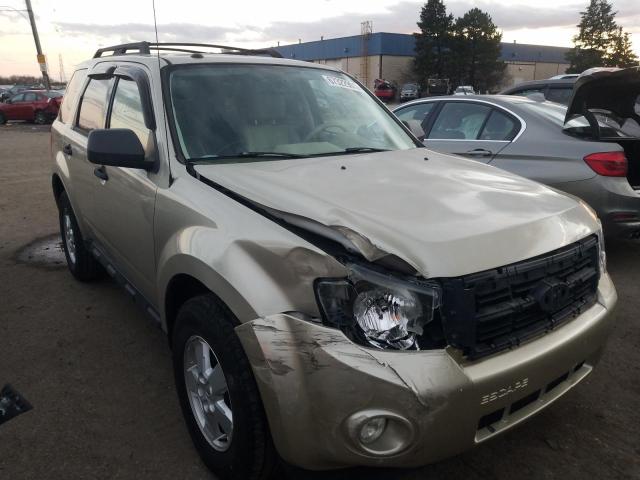 FORD ESCAPE XLT 2010 1fmcu0dg4akc45457