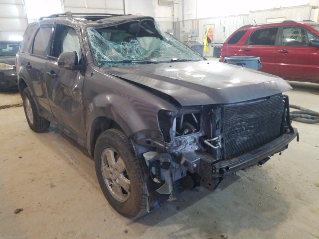 FORD ESCAPE XLT 2010 1fmcu0dg4akc45751