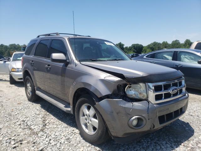 FORD ESCAPE XLT 2010 1fmcu0dg4akd16804