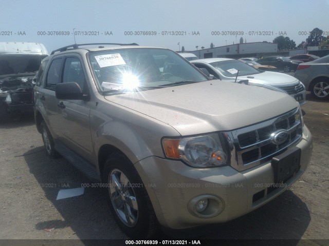 FORD ESCAPE 2010 1fmcu0dg4akd20027