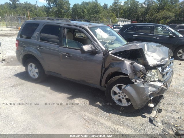 FORD ESCAPE 2010 1fmcu0dg4akd20769