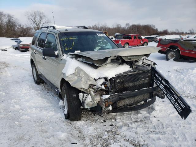 FORD ESCAPE XLT 2010 1fmcu0dg5aka47129