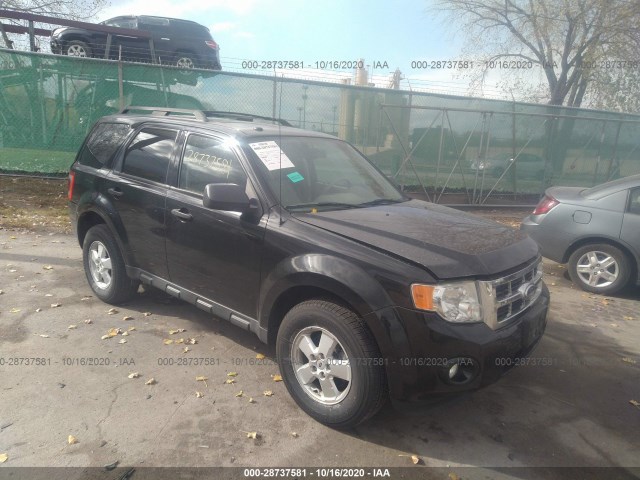 FORD ESCAPE 2010 1fmcu0dg5aka70071