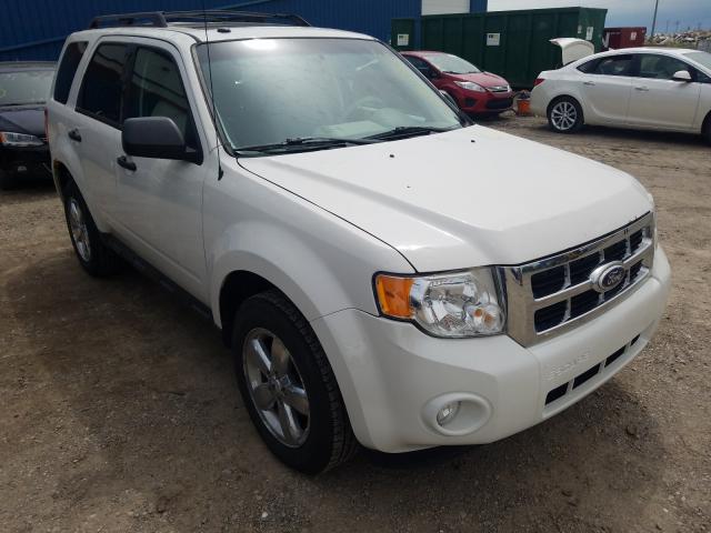 FORD ESCAPE XLT 2010 1fmcu0dg5akb26378