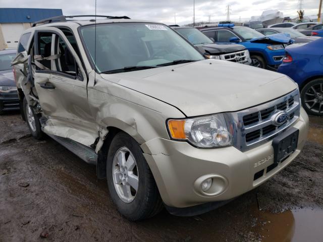 FORD ESCAPE XLT 2010 1fmcu0dg5akb30382