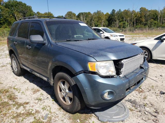 FORD ESCAPE XLT 2010 1fmcu0dg5akb61471