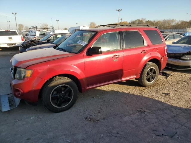 FORD ESCAPE 2010 1fmcu0dg5akc50862