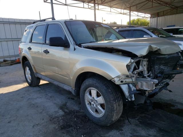 FORD ESCAPE XLT 2010 1fmcu0dg5akc82016