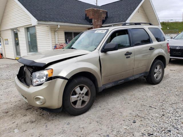 FORD ESCAPE 2010 1fmcu0dg5akd17802