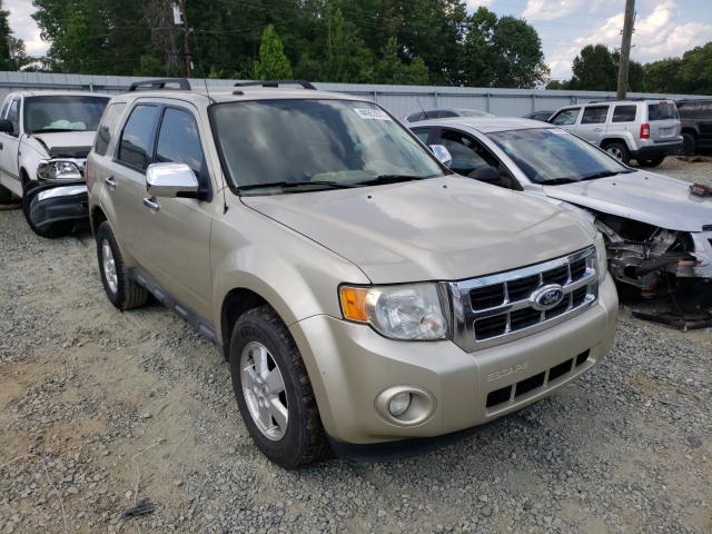 FORD ESCAPE XLT 2010 1fmcu0dg5akd34115