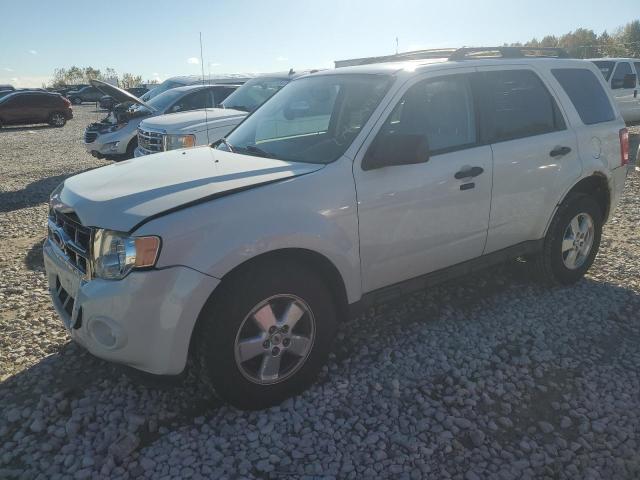 FORD ESCAPE XLT 2010 1fmcu0dg5akd44773