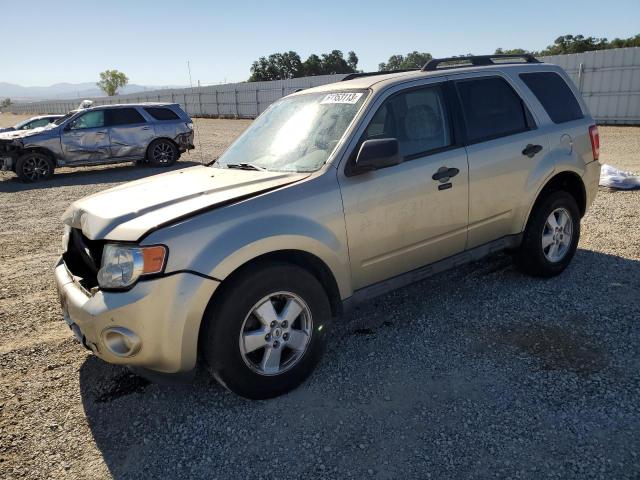 FORD ESCAPE 2010 1fmcu0dg6akc24612