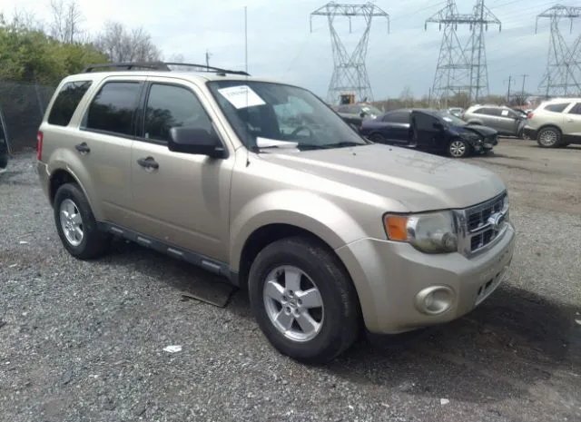 FORD ESCAPE 2010 1fmcu0dg6akc44603