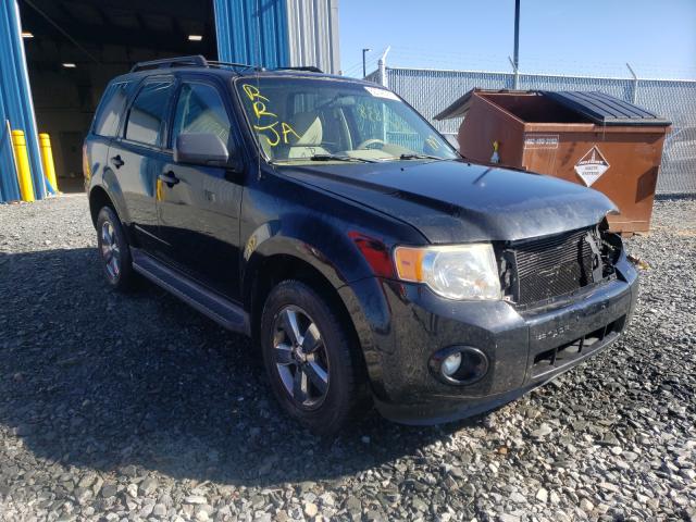 FORD ESCAPE XLT 2010 1fmcu0dg6akd02919