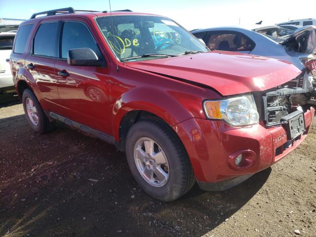 FORD ESCAPE XLT 2011 1fmcu0dg6bka74079