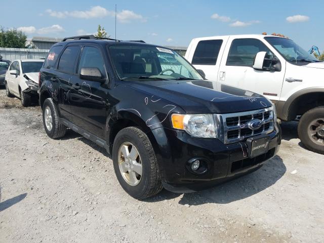 FORD ESCAPE XLT 2011 1fmcu0dg6bkb33194