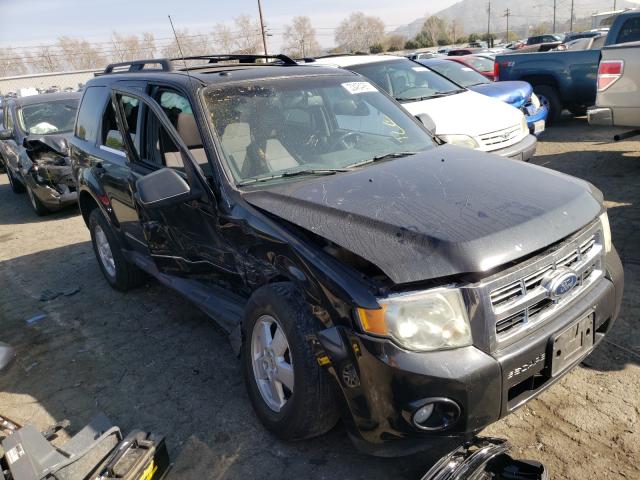 FORD ESCAPE XLT 2011 1fmcu0dg6bkb33924