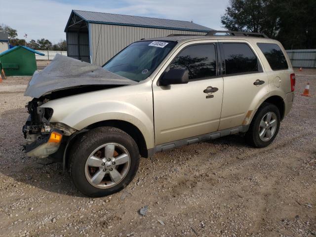 FORD ESCAPE XLT 2011 1fmcu0dg6bkc02370