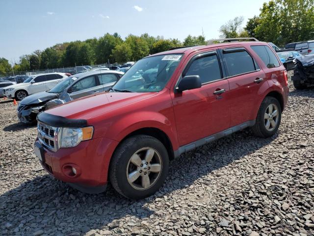 FORD ESCAPE XLT 2011 1fmcu0dg6bkc17189