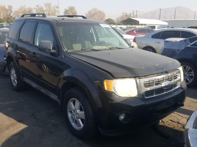 FORD ESCAPE XLT 2010 1fmcu0dg7aka01365