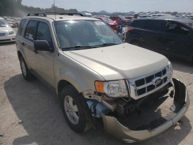 FORD ESCAPE XLT 2010 1fmcu0dg7akd30759