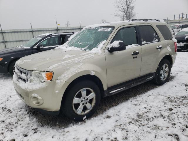 FORD ESCAPE XLT 2010 1fmcu0dg7akd38988