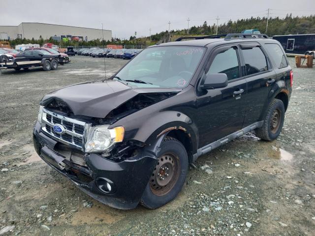 FORD ESCAPE XLT 2011 1fmcu0dg7bkb93792