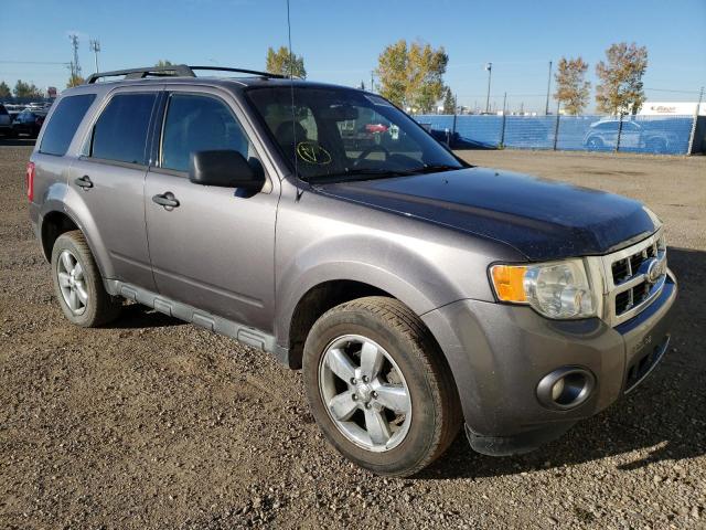 FORD ESCAPE XLT 2011 1fmcu0dg7bkc67339