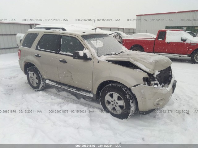 FORD ESCAPE 2010 1fmcu0dg8aka09894