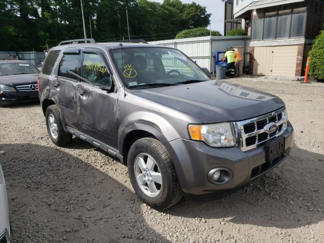 FORD ESCAPE XLT 2010 1fmcu0dg8akb06755