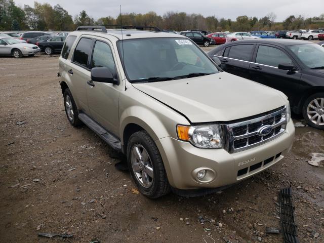 FORD ESCAPE XLT 2010 1fmcu0dg8akb08893