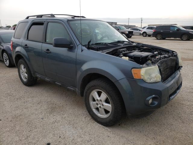 FORD ESCAPE XLT 2010 1fmcu0dg8akb64977