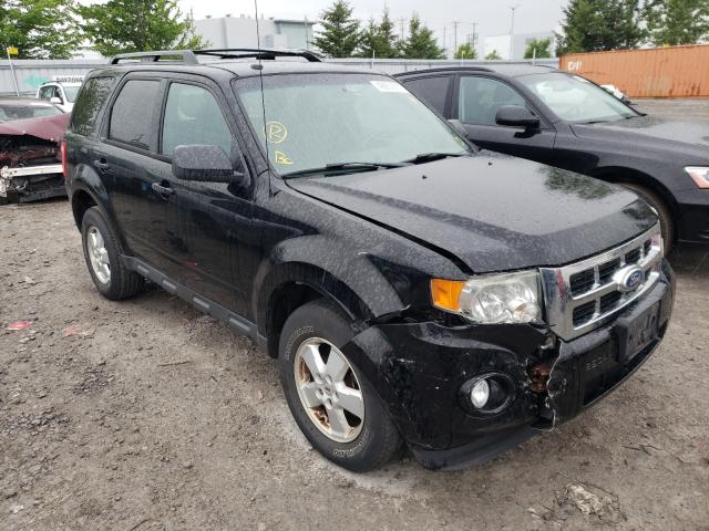 FORD ESCAPE XLT 2010 1fmcu0dg8akc26572