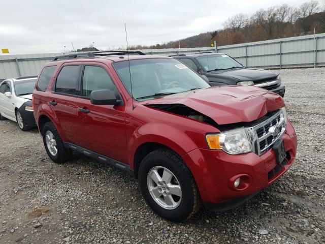 FORD ESCAPE XLT 2010 1fmcu0dg8akc46501