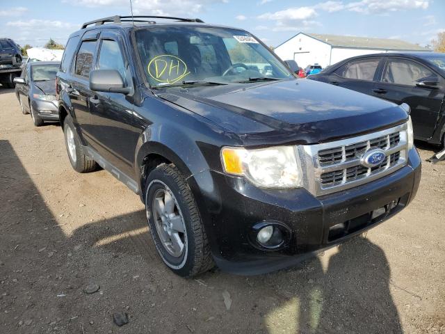 FORD ESCAPE XLT 2010 1fmcu0dg8akc74105