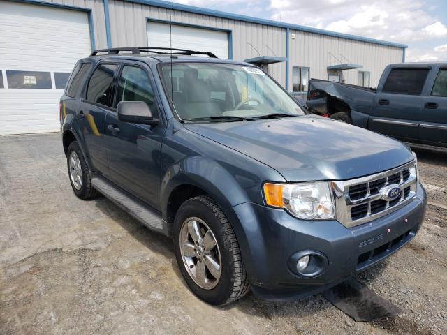 FORD ESCAPE XLT 2011 1fmcu0dg8bkb19751