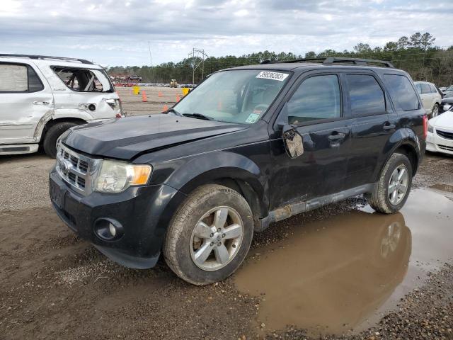 FORD ESCAPE XLT 2011 1fmcu0dg8bkc36231