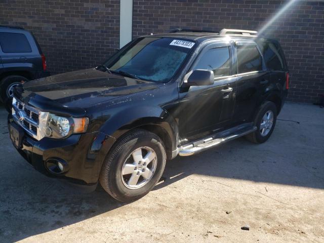 FORD ESCAPE XLT 2010 1fmcu0dg9aka02808