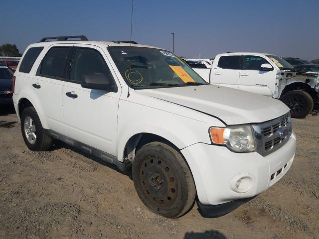 FORD ESCAPE XLT 2010 1fmcu0dg9aka08026