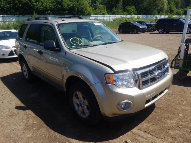 FORD ESCAPE XLT 2010 1fmcu0dg9akc95139