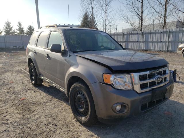 FORD ESCAPE XLT 2010 1fmcu0dg9akd03269