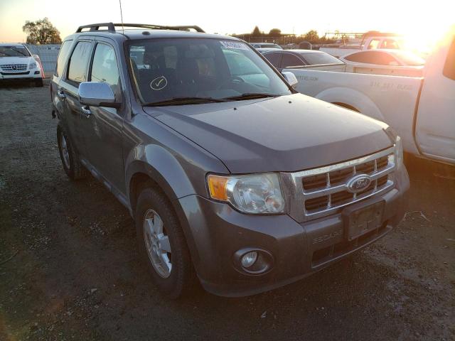 FORD ESCAPE XLT 2010 1fmcu0dg9akd06625