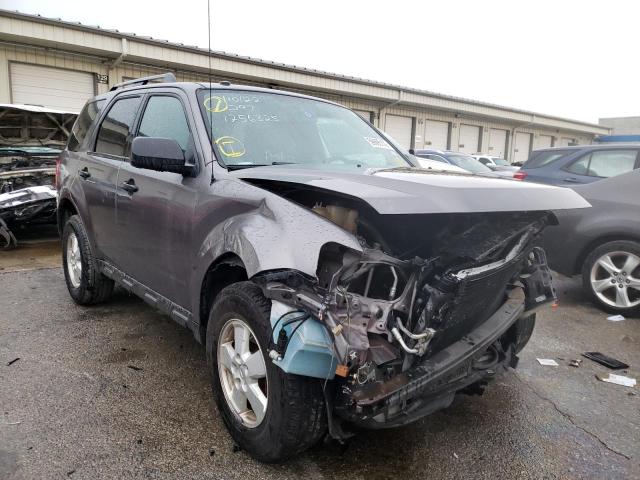 FORD ESCAPE XLT 2010 1fmcu0dg9akd10464