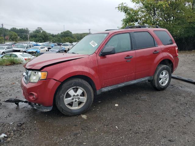 FORD ESCAPE XLT 2011 1fmcu0dg9bka36846