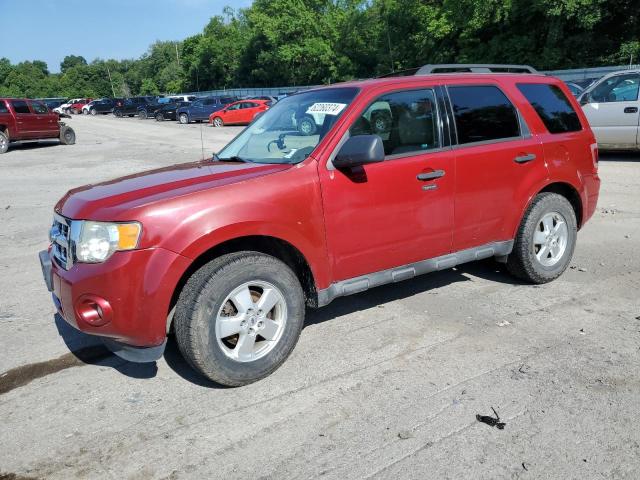 FORD ESCAPE XLT 2011 1fmcu0dg9bkb89730