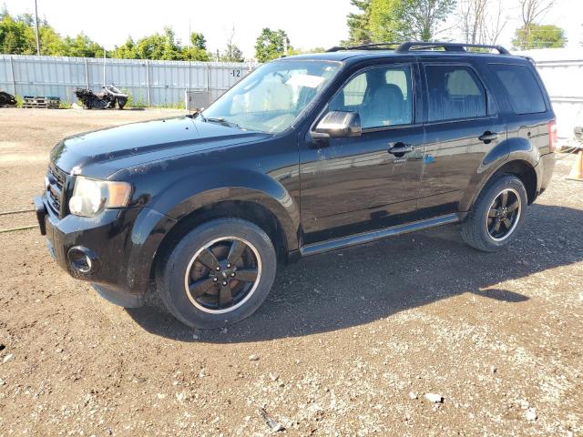 FORD ESCAPE 2010 1fmcu0dgxaka51273