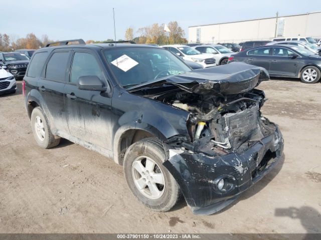 FORD ESCAPE 2010 1fmcu0dgxakb52491